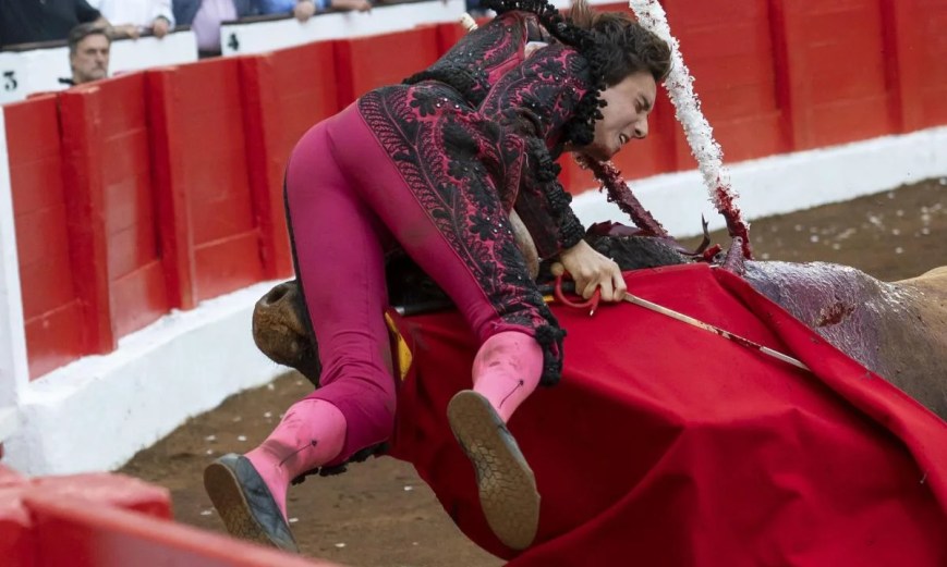 ¡Impactantes imágenes! Torero sufre embestida