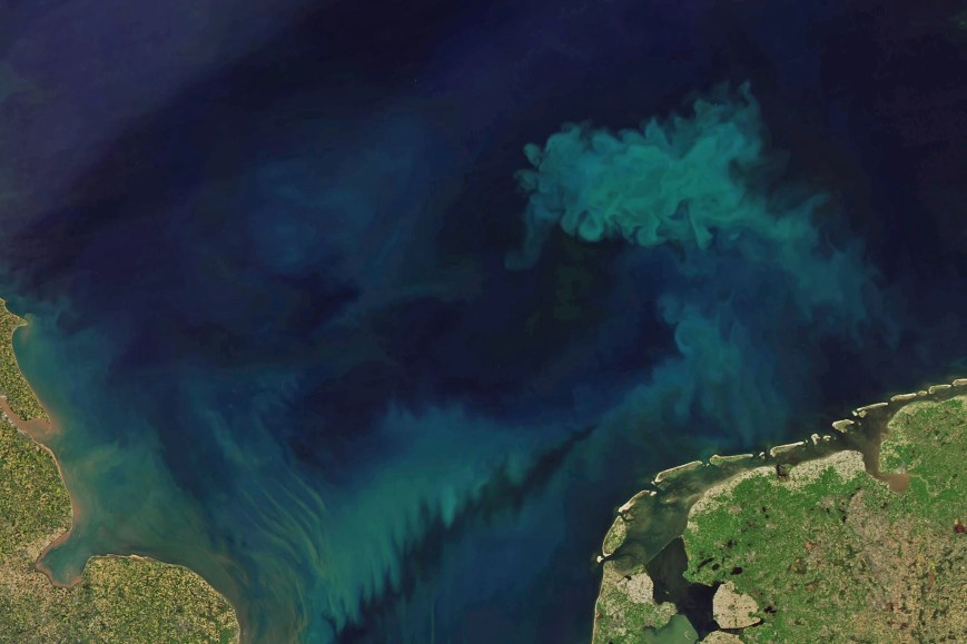 El cambio climático estaría cambiando el color de los océanos