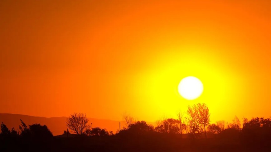 Llega a 82 el número de fallecidos por la onda de calor en Nuevo León