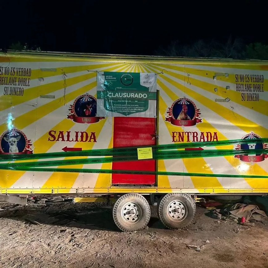 Clausuran feria por maltrato animal