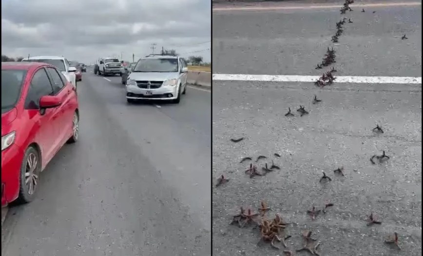 Caos y violencia en Reynosa; autoridades se esconden