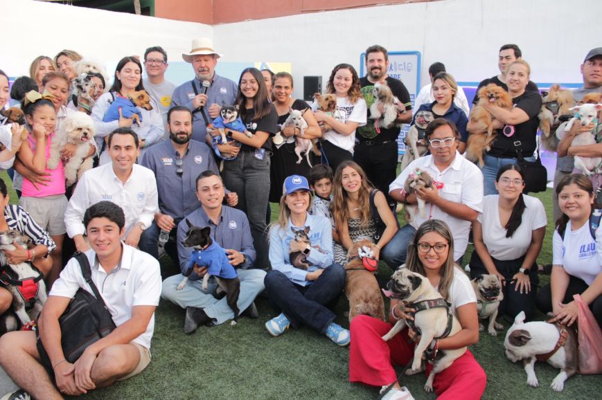 Mauricio Fernández presenta propuestas sobre bienestar animal