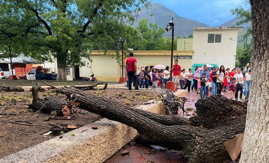 Candidata de MC en Zaragoza habría roto la veda electoral