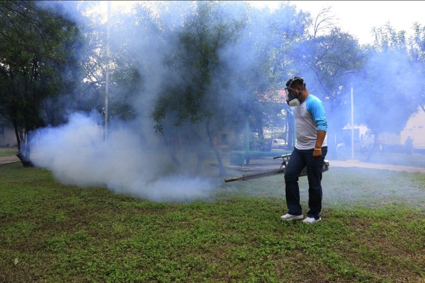 Guadalupe se fortalece contra el dengue