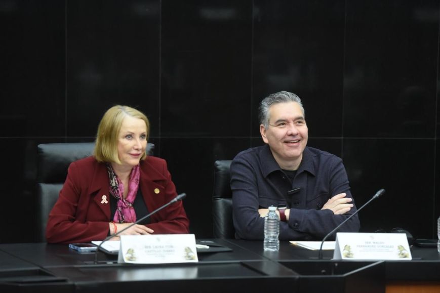 Waldo Fernández impulsa la transición energética y la electromovilidad en el Senado