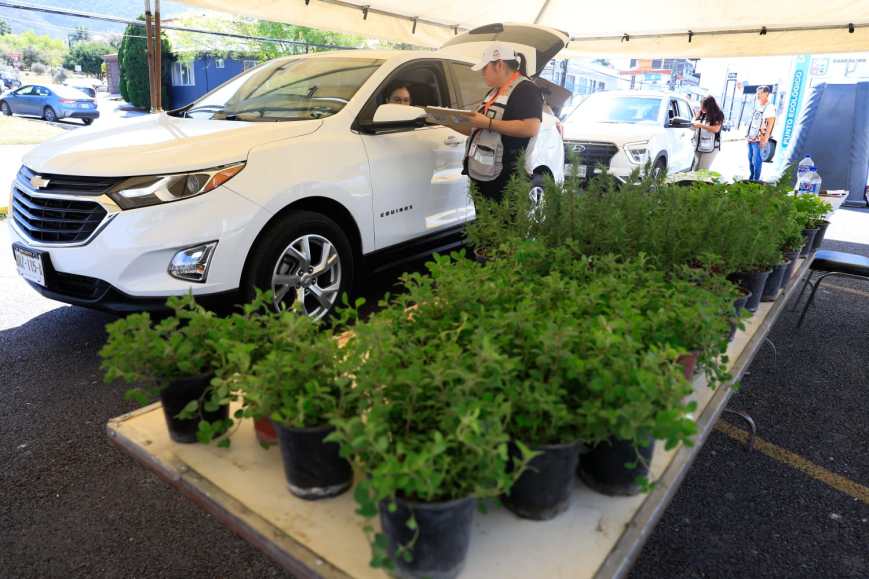 Impulsa Guadalupe la cultura del reciclaje