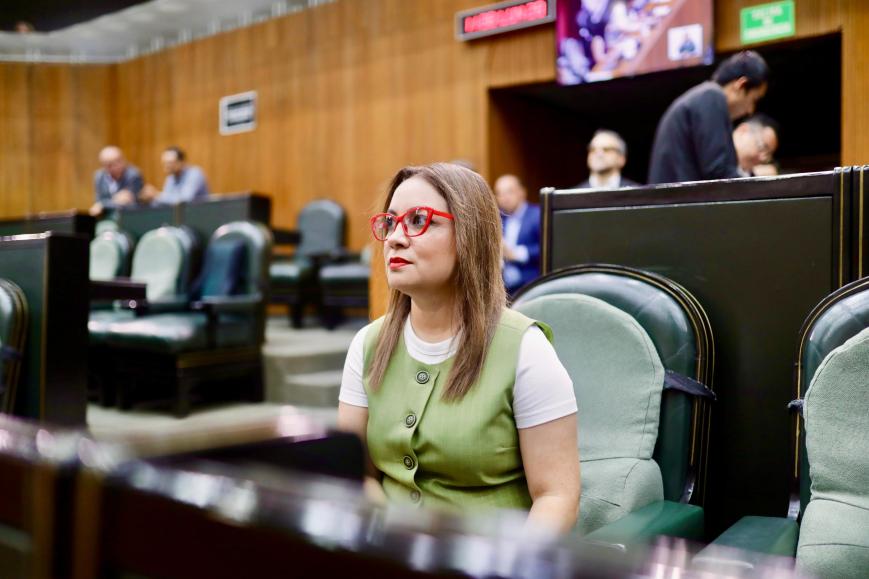 Presenta Armida Serrato iniciativa para frenar uso partidista en colores de gobiernos