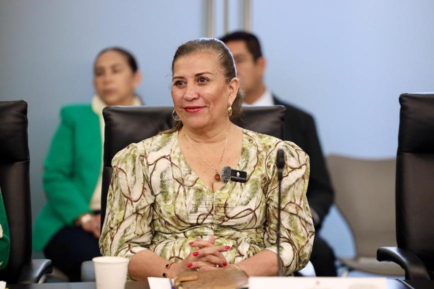 Cuestiona Judith Díaz irregularidades en licencia de Raúl Lozano