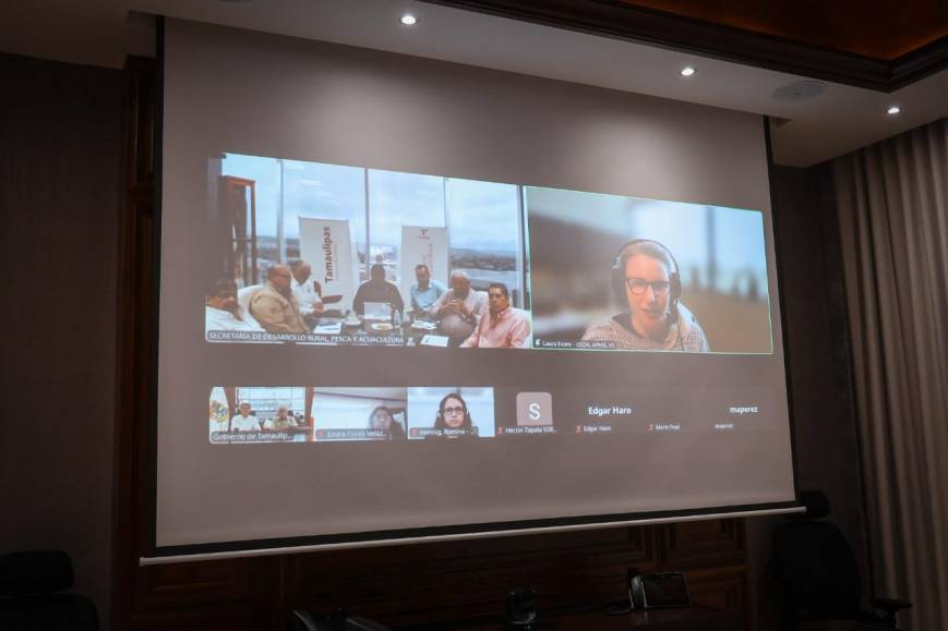 Refuerzan Américo Villarreal y autoridades acciones contra tuberculosis bovina