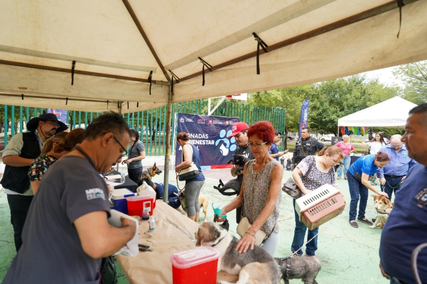 Promueve Monterrey bienestar animal