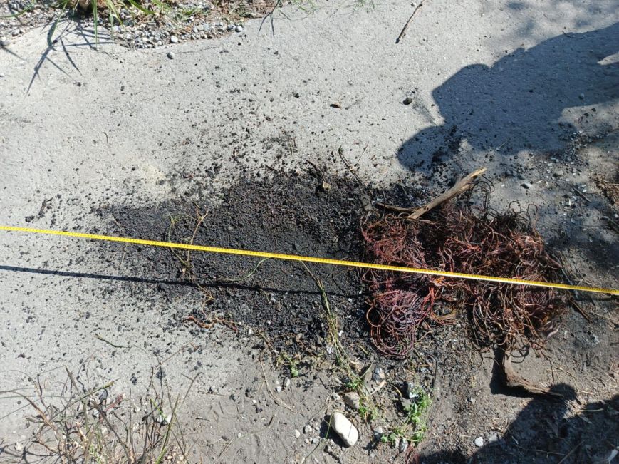 Detienen a hombre por provocar incendio en el lecho del río Santa Catarina