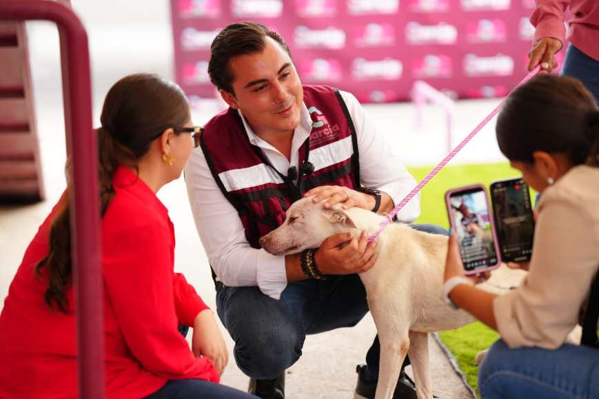 Manuel Guerra lanza el primer sistema de adopción digital de mascotas