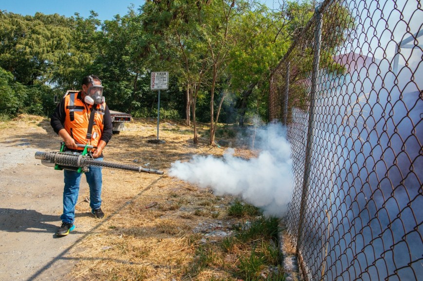 Intensifica Guadalupe fumigación contra el dengue