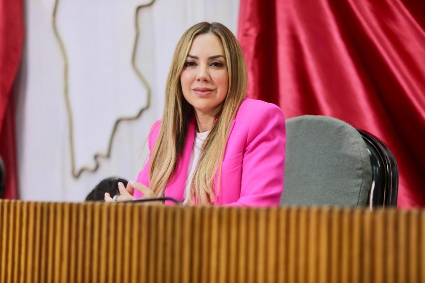 Exige Perla Villarreal a CFE atender apagones en Mitras Centro y Mitras Norte