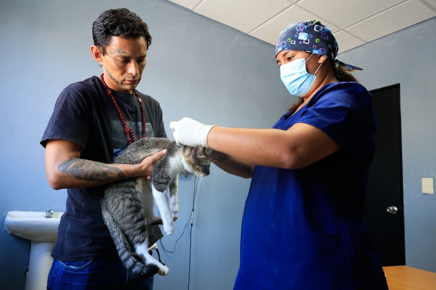 Realiza Guadalupe 17 mil servicios veterinarios en primer año de gobierno