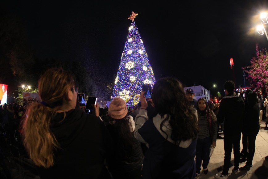 Enciende Plaza Principal con su tradicional Pino Navideño