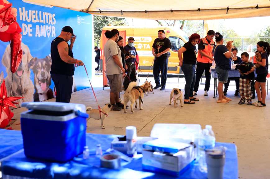 Comparten en Guadalupe amor a las mascotas