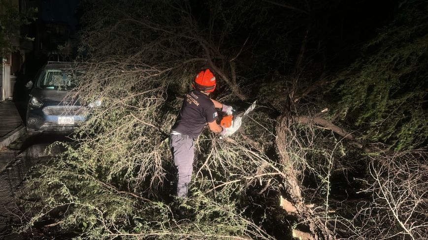 Atienden Protección Civil de Guadalupe afectaciones por fuertes vientos en Nuevo León